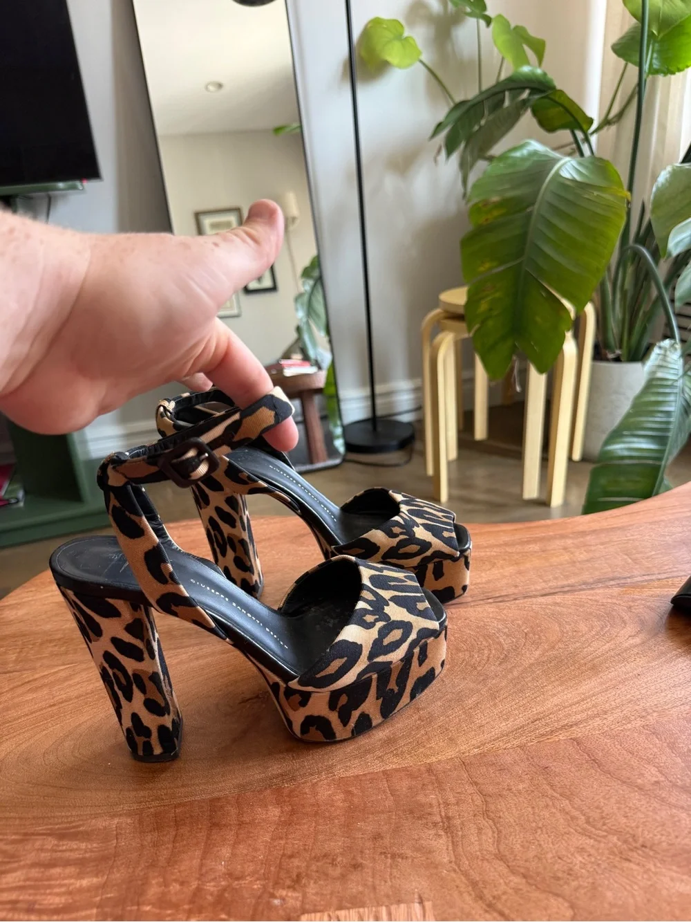 Giuseppe Zanotti giuseppe zanotti